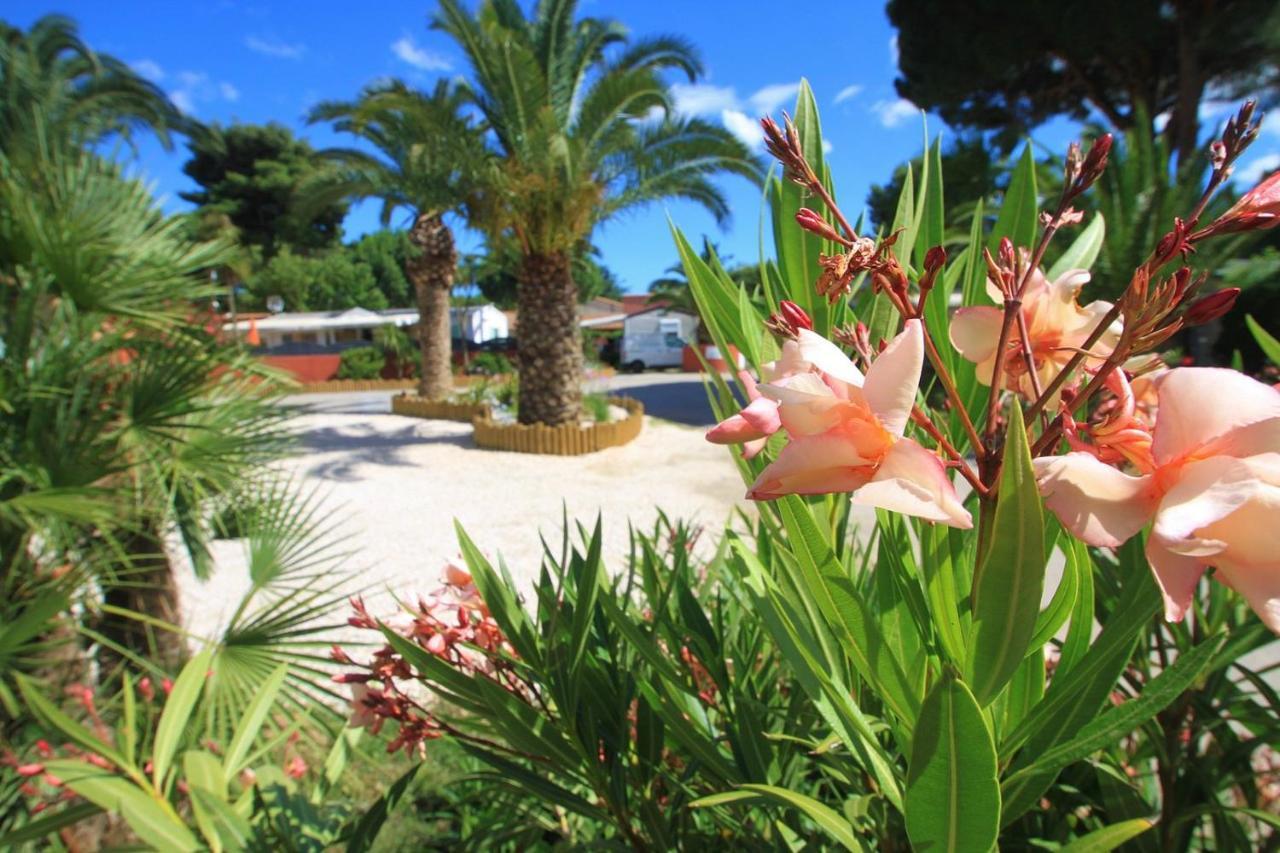 Camping Del Mar 10, Mobil Home Petit Paradis, 6 Personnes, Bord De Mer, Camping Del Mar Village Argeles-sur-Mer Ngoại thất bức ảnh
